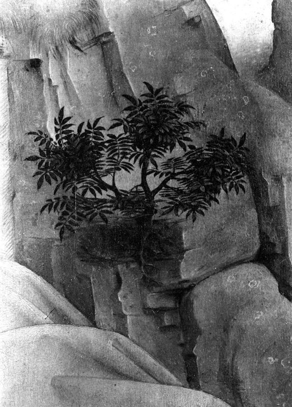 Déploration