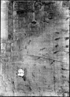 B204203