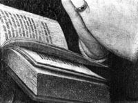 B204232