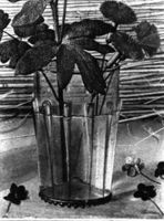 B204289