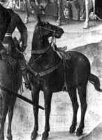 B204346