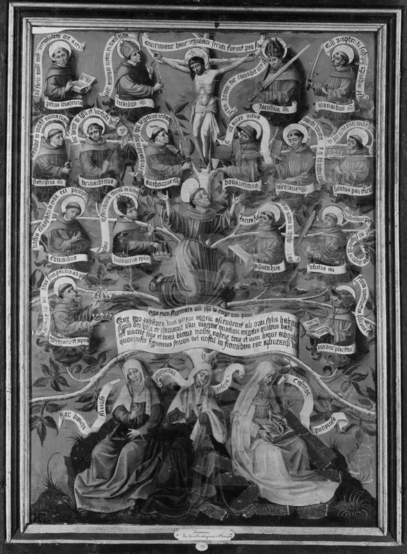 Descendance spirituelle de saint François d'Assise (Arbre généalogique de l'ordre franciscain)