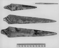 B205226