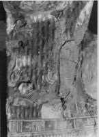 B206004