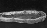 B206006