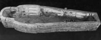 B206008