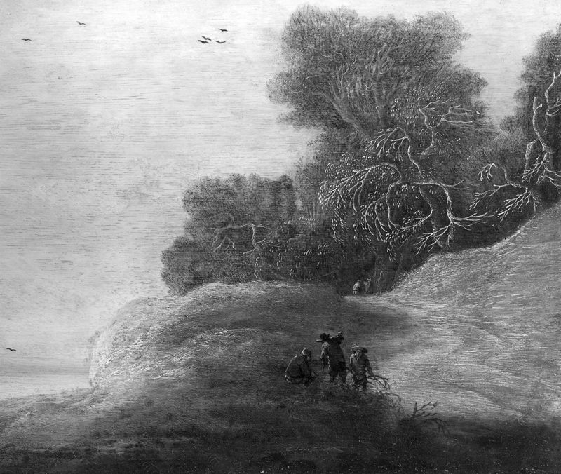 Paysage