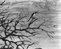 B206376
