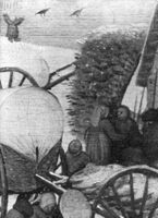 B206394