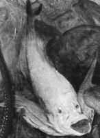 B206462