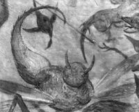 B206463