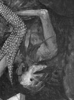 B206470