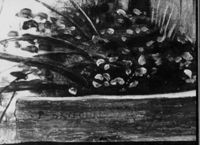 B206534