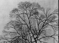 B206543