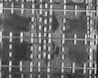 B206722