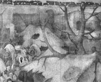 B206806