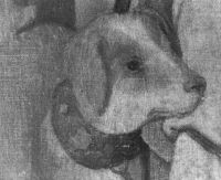 B206827