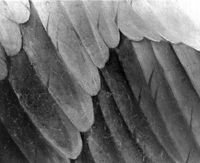 B209649