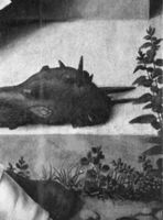 B210134