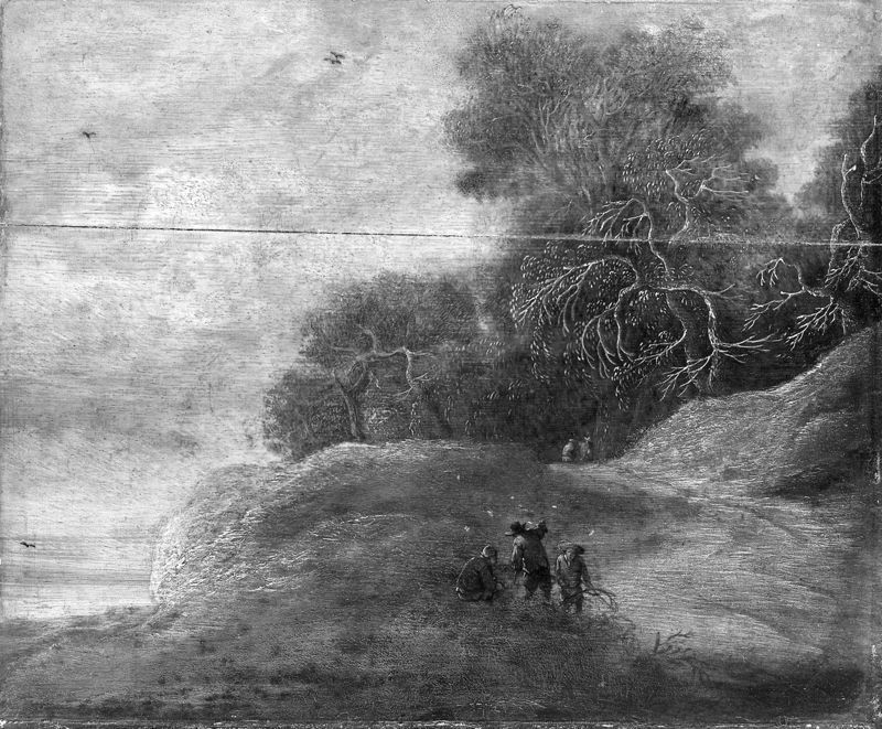 Paysage