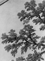 B210594