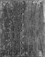 B210631