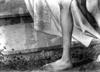 B211321