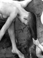 B211491