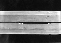 B211551