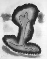 B211963