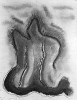 B211964