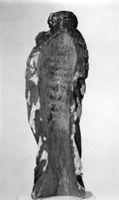 B212385