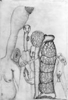 B212409