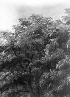 B212583