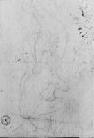 B212826