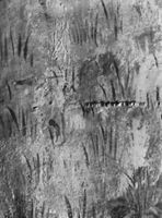 B212947