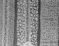 B213075