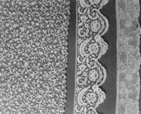 B213076