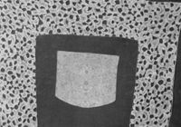 B213078