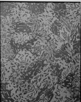B213454