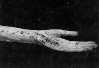 B213546