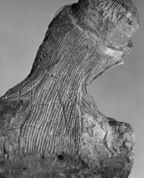 B213551