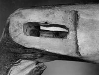 B213553
