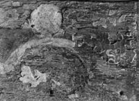 B213560