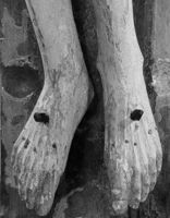 B213566