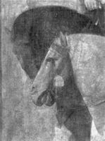 B215554
