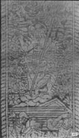 B215662