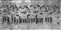 B215773