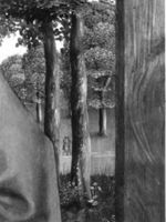 B215993