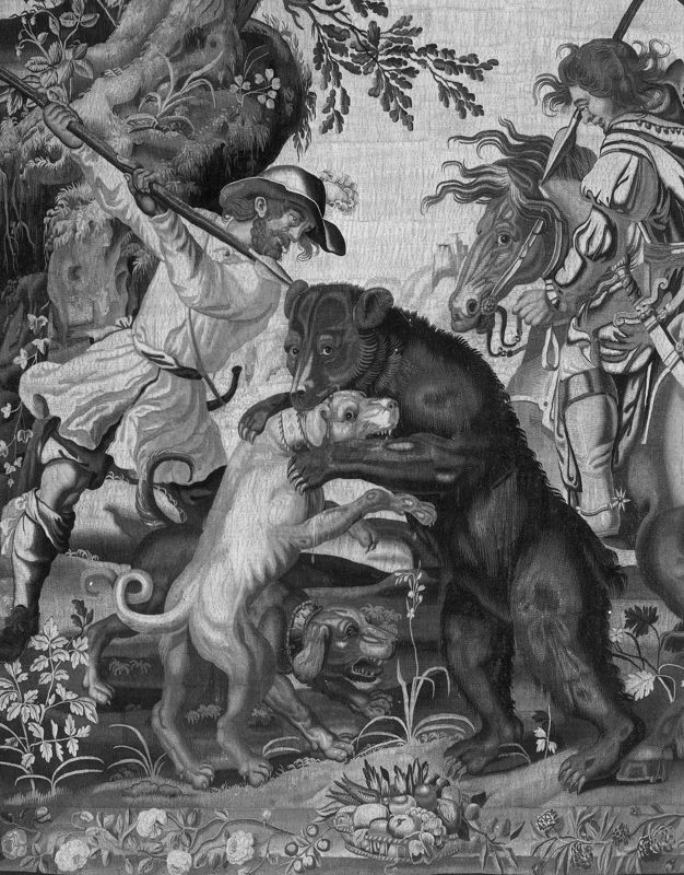 Chasse à l'ours